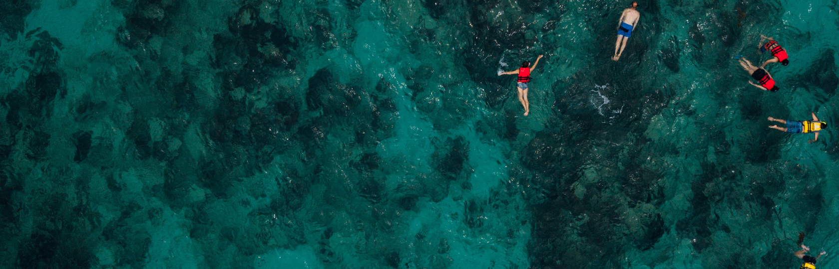 Crossing Resort