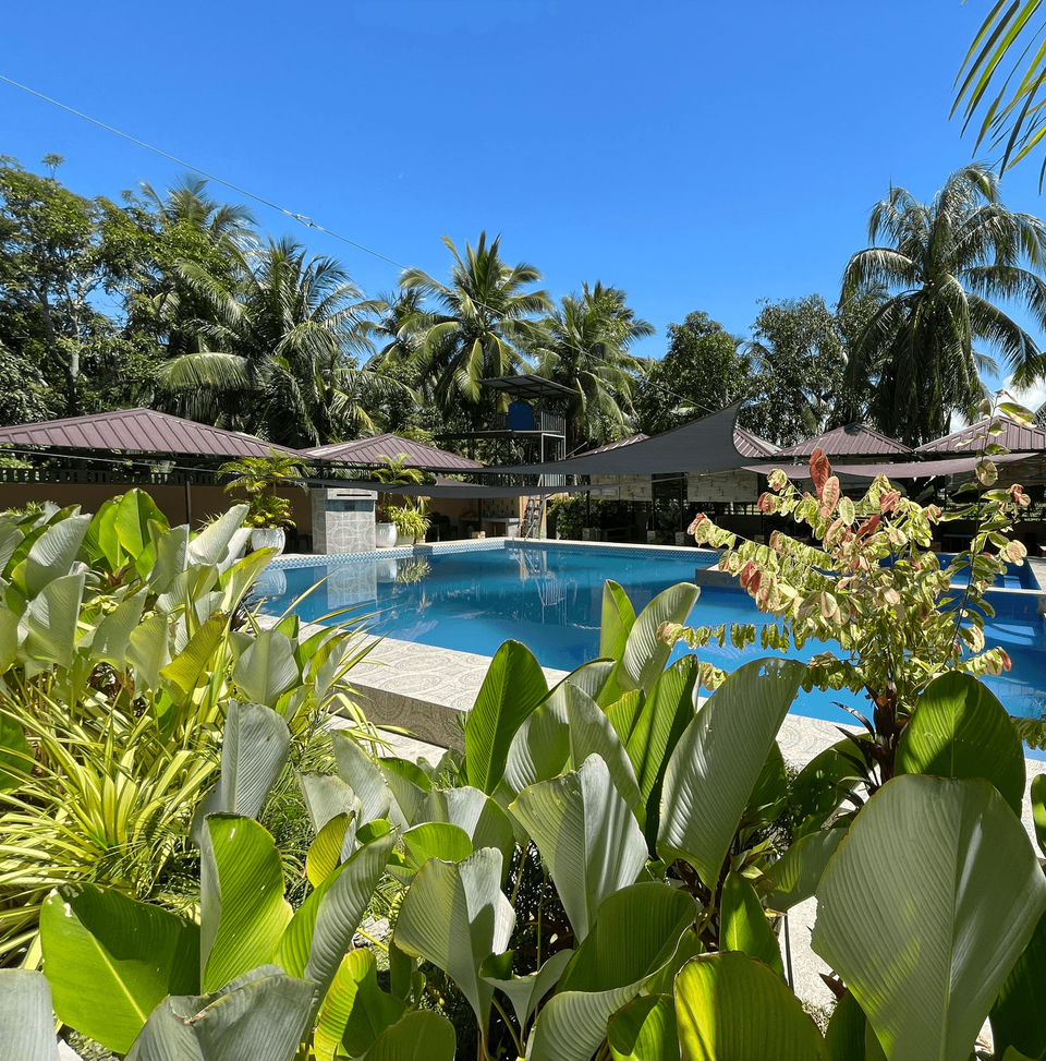 Crossing Resort
